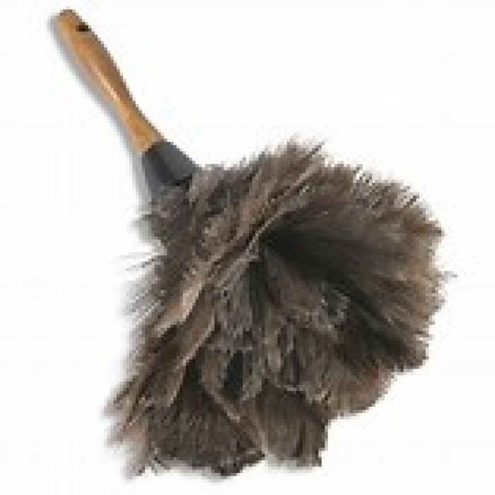 Feather Duster 31” long